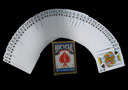 Flash Offer  : Forcing Bicycle Deck (Queen of Spades)