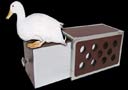 Duck Drawer Box