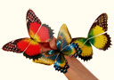 article de magie Papillons à ressort (par 10)