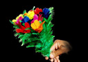 Sleeve Bouquet Eco (10 flowers)