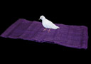 Vuelta magia  : Desaparición de paloma en un pañuelo (Dove Sensa