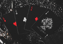 Oferta Flash  : Lost Spirit Playing Cards