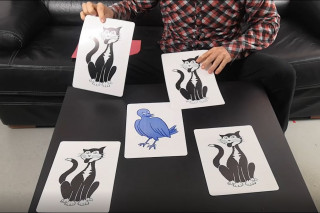 Les Chats Et Le Canari Les Chats Et Le Canari