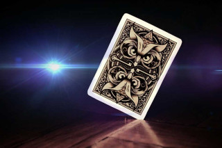 Altruism Playing Cards (Black Owls)