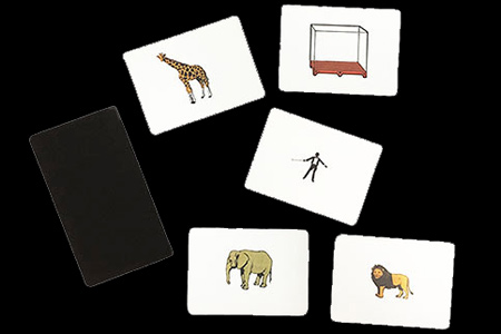 Lock Up (Animal Cards)