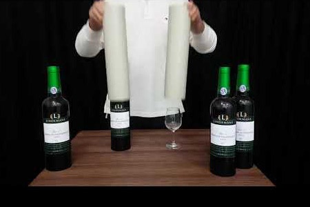 Multiplicación de Botellas Vino - Verde (8 Botellas)