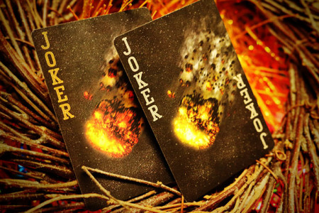 Bicycle Asteroid Playing cards