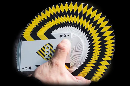 Broken Borders Playing Cards