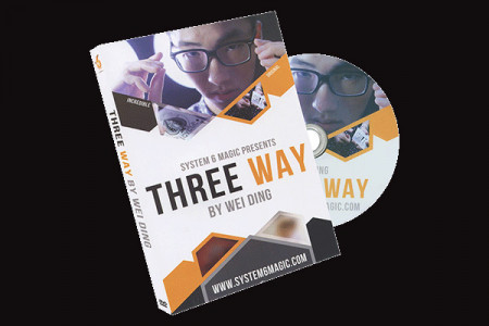 Three Way by Wei Ding & system 6 - DVD