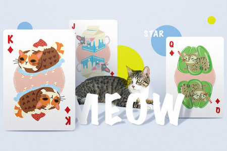 Jeu Meow Star (Knitted Sweater)