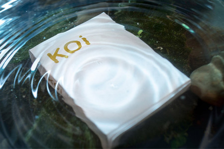 Koi V2 Playing Cards by Byron Leung