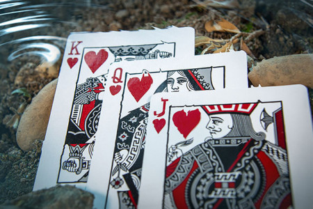 Koi V2 Playing Cards by Byron Leung