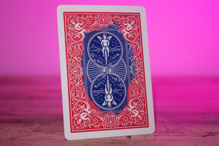 Split Card (dorsos)