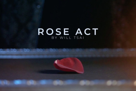 Visual Matrix AKA Rose Act (Version dorée)