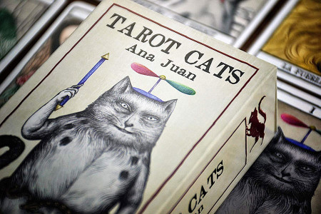 Tarot Cats