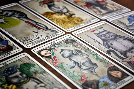 Tarot Cats