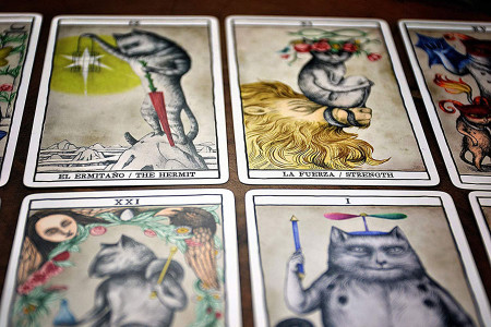 Tarot Cats