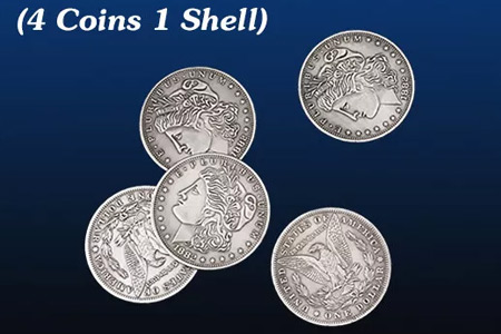 Morgan Dollar Shell and Coin Set (4 Coins 1 Shell)