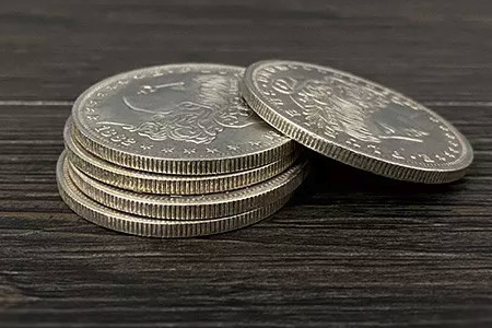 Morgan Dollar Shell and Coin Set (4 Coins 1 Shell)