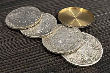 Morgan Dollar Shell and Coin Set