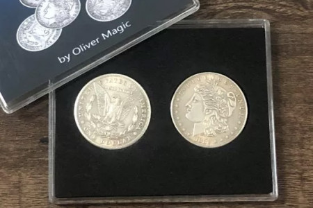 Morgan Dollar Shell and Coin Set (4 Coins 1 Shell)