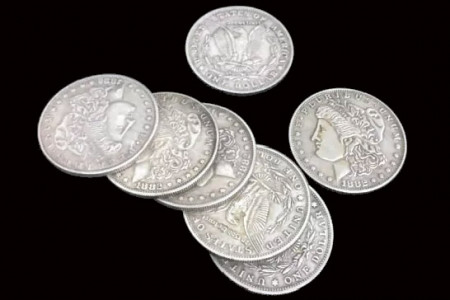 Moneda 1 dollar Morgan (3,8 cm, Brass)