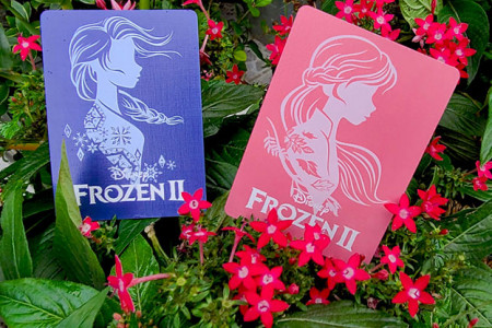 Jeu Frozen 2 Spirits Queen