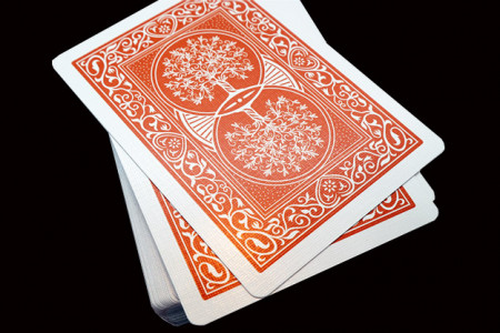 History Of American Enterprise Playing Cards