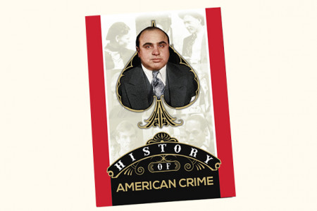 History Of American Crime Playing Cards