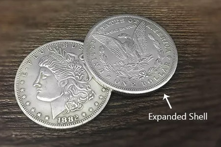 Morgan Dollar and Expanded Shell (Tail) Set