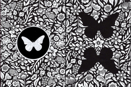 Baraja Butterfly Negra y Blanco (Edicion Limitada)
