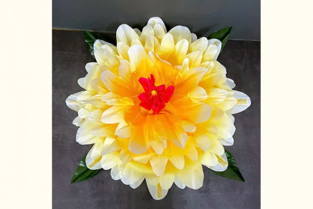 Fleur Peony à apparition - Dégradé de couleurs (30 cm)