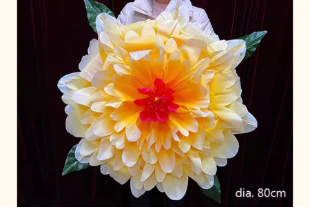 Fleur Peony à apparition - Dégradé de couleurs (80 cm)
