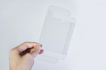 Etuis de protection transparent TCC (par 5)