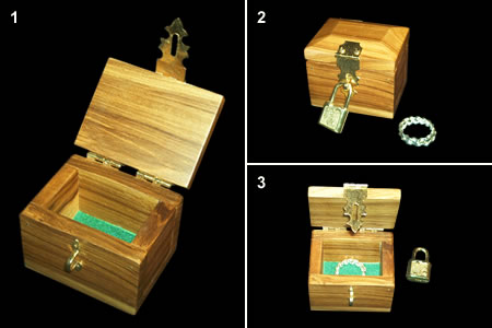 PICKLOCK BOX - BOÎTE AVEC CADENAS - Logica Jeux