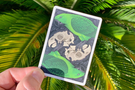 Bicycle Parrot Extinct Playing Cards