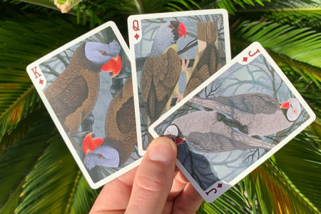 Bicycle Parrot Extinct Playing Cards