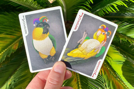 Bicycle Parrot Playing Cards