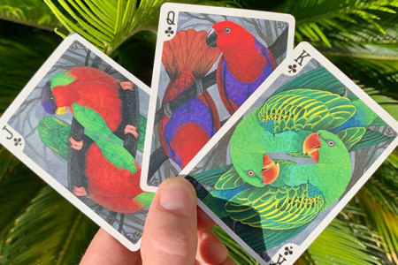 Bicycle Parrot Playing Cards