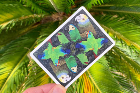 Bicycle Parrot Playing Cards