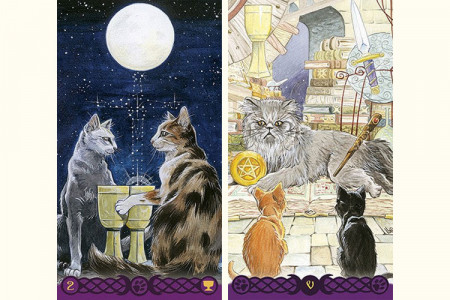 Tarot des Chats Païens