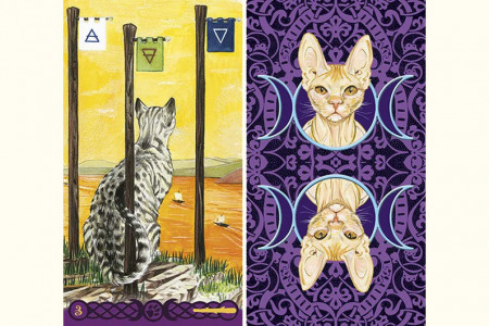 Tarot des Chats Païens