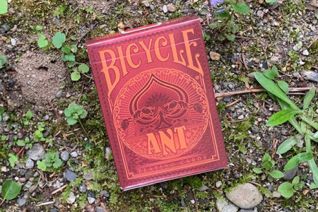 Bicycle Ant Playing card