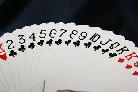 Bicycle Party Cup Playing Cards