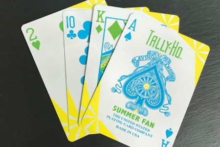 Jeu Tally Ho Summer Fun (Edition limitée)