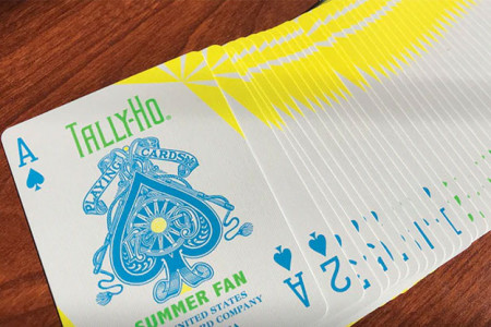 Jeu Tally Ho Summer Fun (Edition limitée)