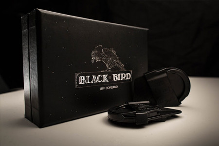 Blackbird