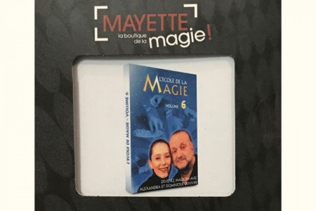 L'école de la magie (Vol.6) - Téléchargement - dominique duvivier