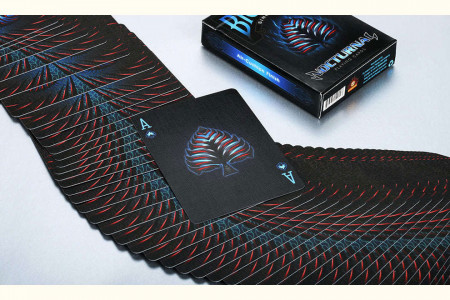 Bicycle Nocturnal Playing Cards