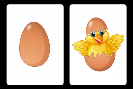 My Egg (Bicycle)